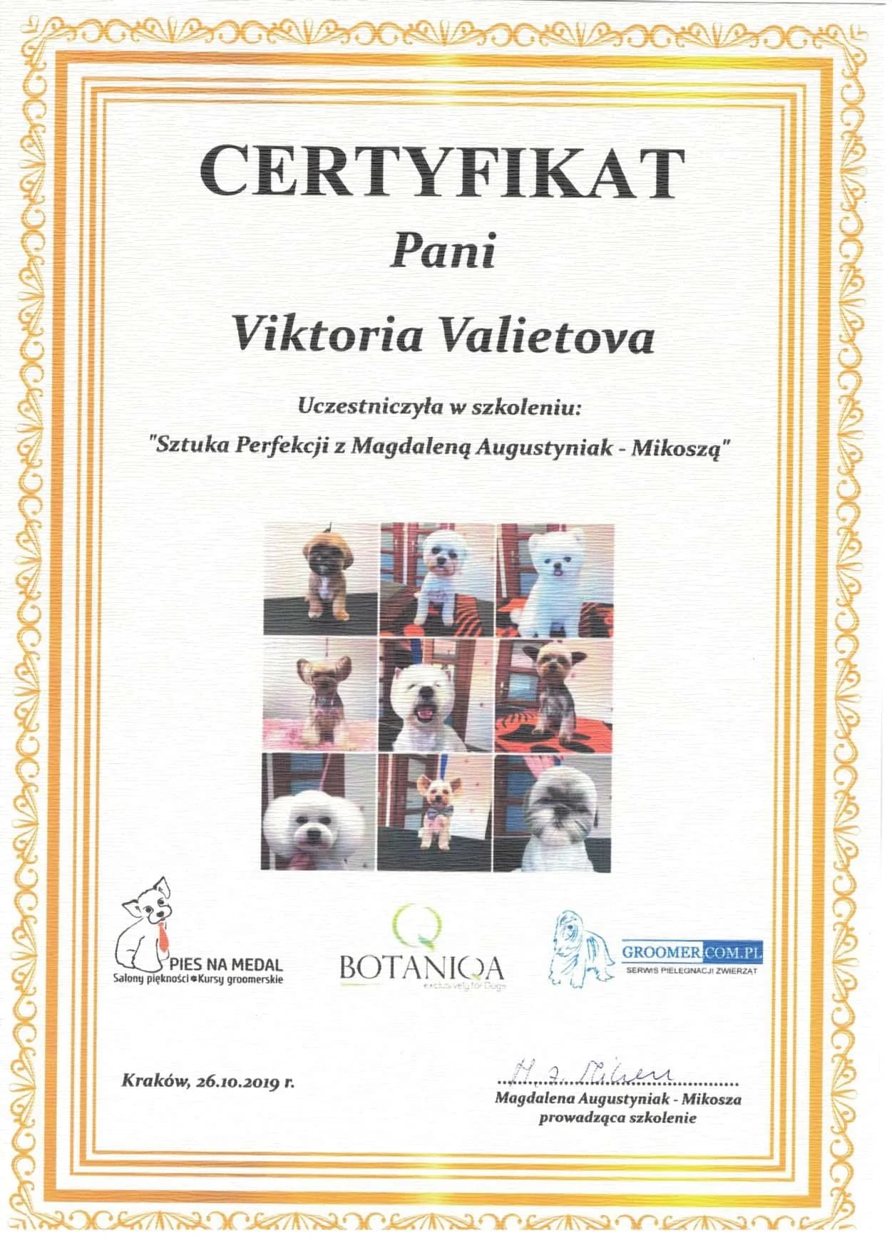 Art of Perfection Grooming Workshop Certificate by Magdalena Augustyniak-Mikosza, Krakow 2019