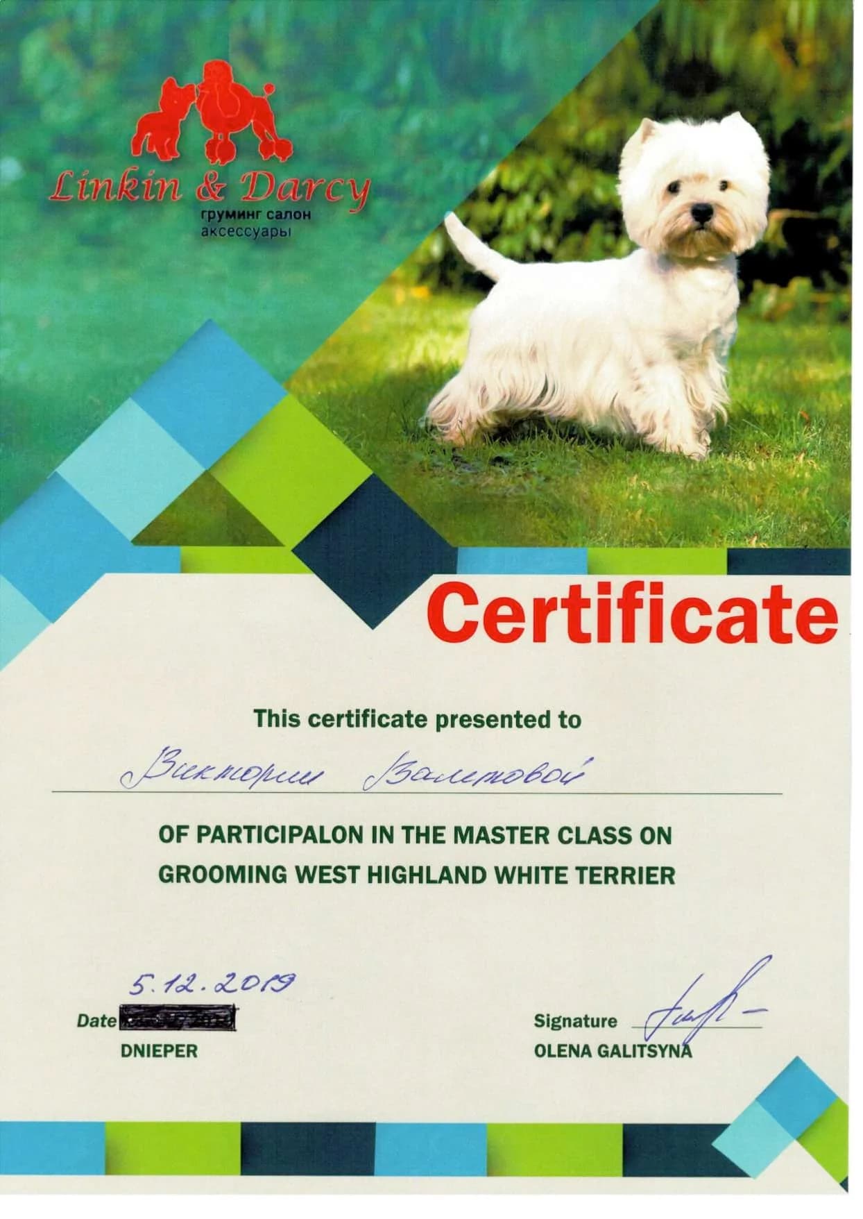 West Highland White Terrier Grooming Master Class Certificate - Linkin & Darcy, 2019
