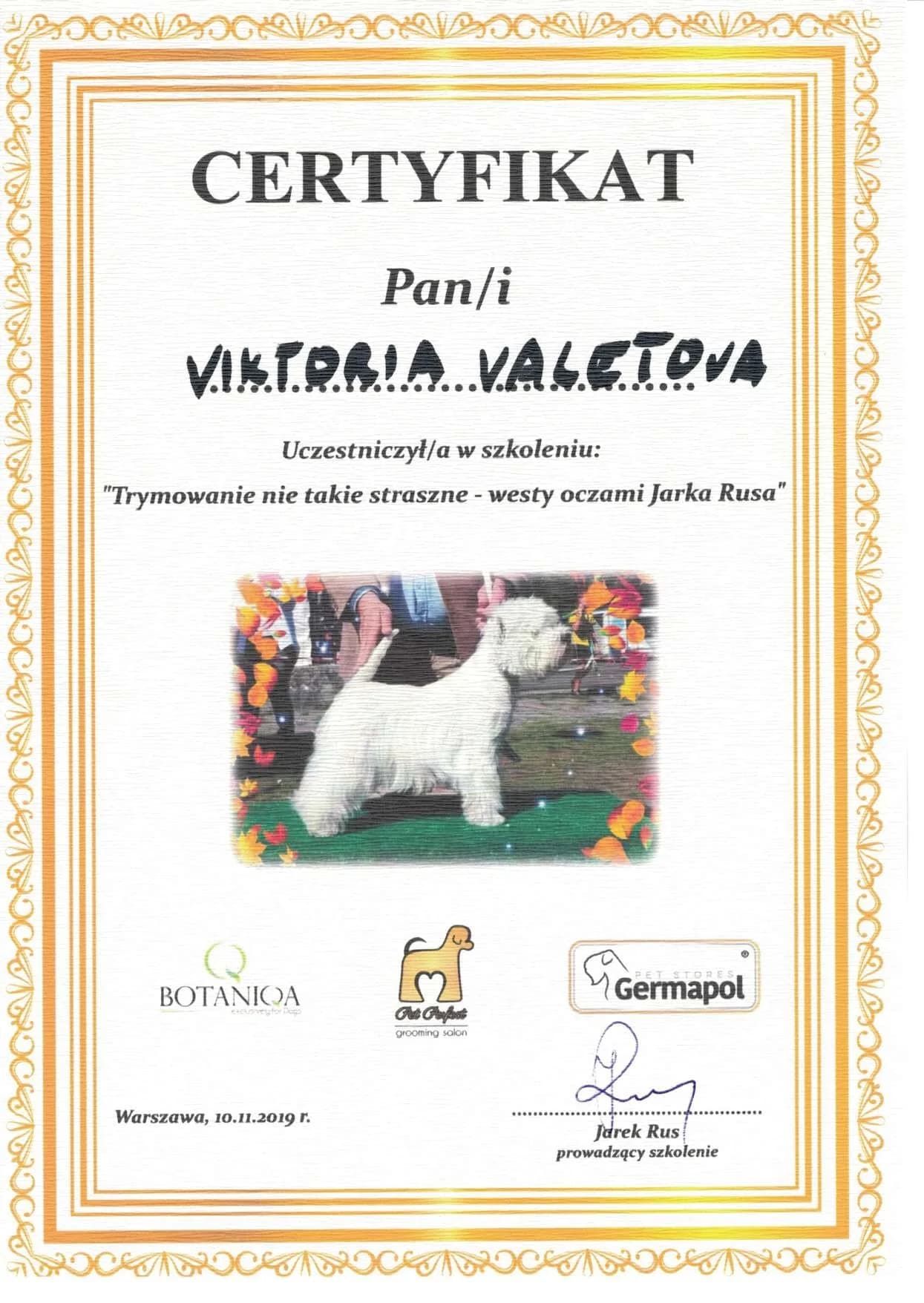Westie Hand Stripping Training Certificate by Jarek Rus - Pet Perfect, Warsaw 2019